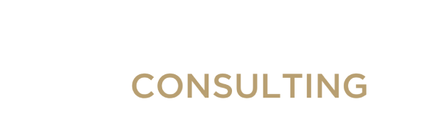 Schleier Consulting